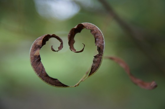 работы: иллюстрация